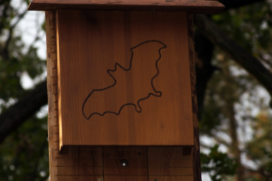 Nichoirs à Chauve-Souris